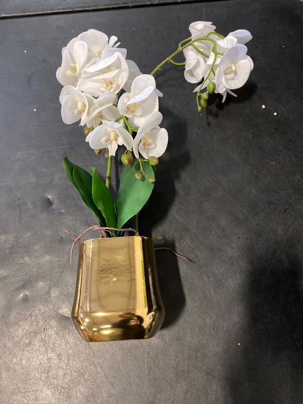 Photo 1 of Artificial White Phalaenopsis Orchid Flowers Set, Real Touch, 19.7 inches, 3 Pcs, Wedding, Party, Office Decoration