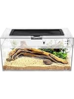 Photo 1 of Reptile PC Terrarium Amphibian Tank Spider Enclosure Snake Cage 7x11.8x5.9inch Suitable for breeding Leopard Gecko,Frog,Hermit Crab,Lizards,Isopod,Tarantula,Turtles,Chameleons,Jumping Spiders