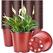 Photo 1 of 50 Pcs 6 Inch Plastic Plant Nursery Pots, Seed Starting Pot, Flower Plant Container for Seedlings, Cuttings, Transplanting