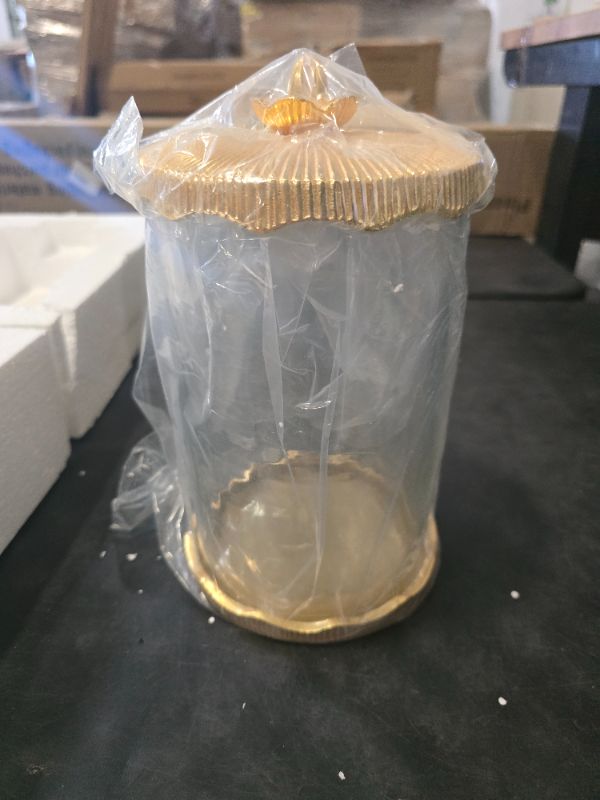 Photo 1 of Bayswater Designs Hammered Glass Food Storage Canister