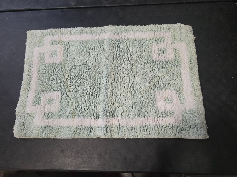 Photo 1 of Madison Park Evan Tufted Cotton Bath Rug, 20" x 30"