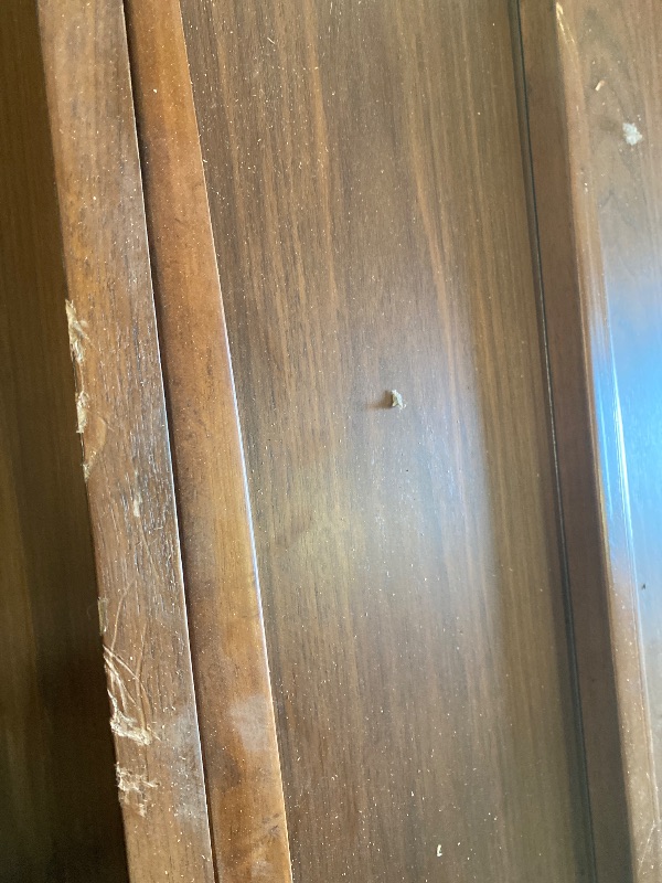 Photo 1 of Coaster Maderia 8-Drawer Rectangular Mid-Century Wood Dresser in Walnut
