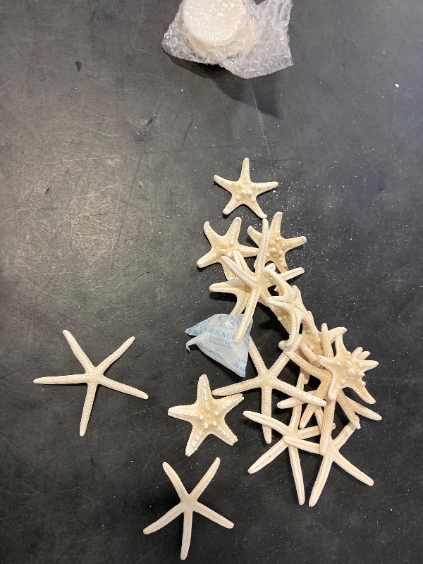 Photo 1 of Jangostor 12 PCS Starfish 2-6 Inch Mixed Starfish Natural Seashells Starfish Star Fish Shells Decorations Perfect for Wedding Decor Beach Theme Party, Home Decorations, DIY Crafts, Fish Tank
