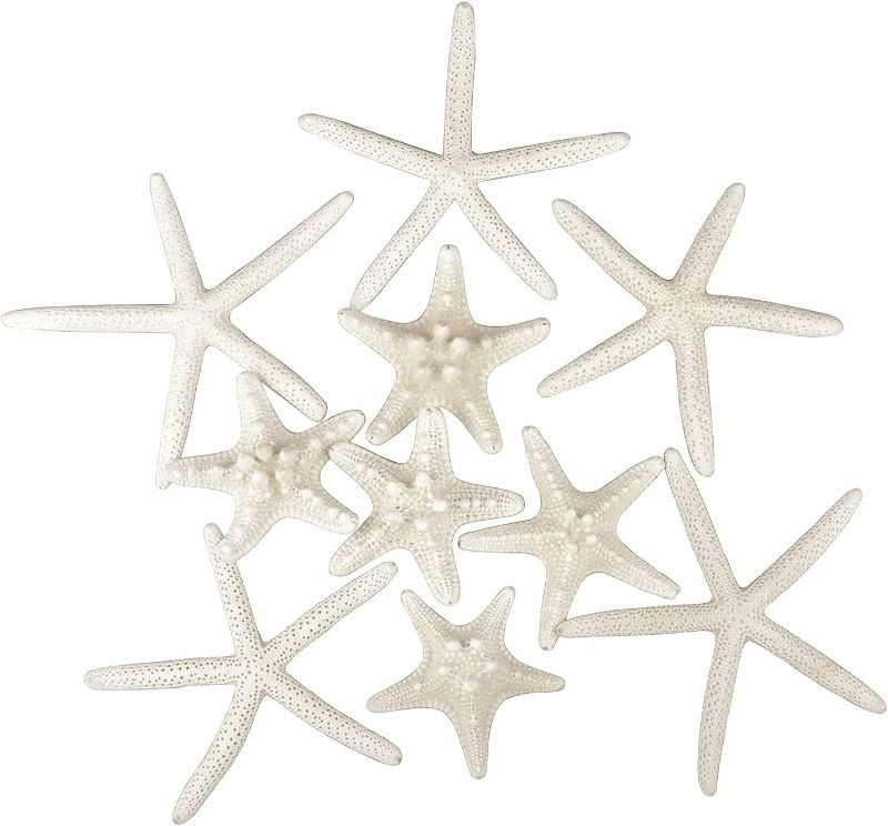 Photo 1 of Jangostor 12 PCS Starfish 2-6 Inch Mixed Starfish Natural Seashells Starfish Star Fish Shells Decorations Perfect for Wedding Decor Beach Theme Party, Home Decorations, DIY Crafts, Fish Tank