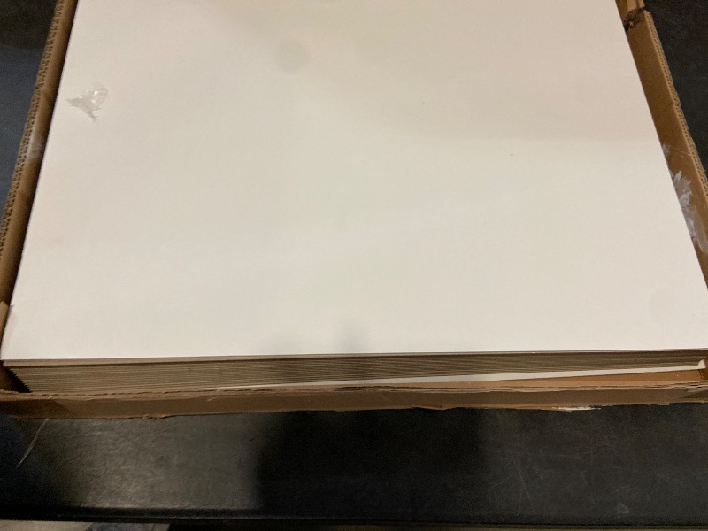 Photo 1 of Construction Paper,White,16 inches x 20 inches,Heavyweight Construction Paper,Crafts,Art,Kids Art,Painting,Coloring,Drawing,Paper,Art Project,All Purpose Paper