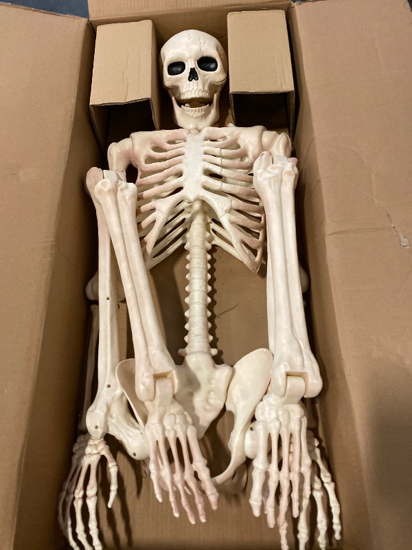 Photo 1 of Crazy Bonez Pose-N-Stay Halloween Skeleton, 6 FT – Life-Size, Realistic, Fully Poseable Indoor & Outdoor Decoration, Durable Weather-Resistant Spooky Prop for Yard, Porch, Haunted House