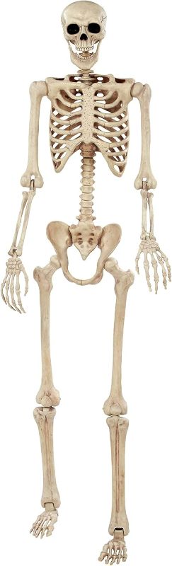 Photo 1 of Crazy Bonez Pose-N-Stay Halloween Skeleton, 6 FT – Life-Size, Realistic, Fully Poseable Indoor & Outdoor Decoration, Durable Weather-Resistant Spooky Prop for Yard, Porch, Haunted House