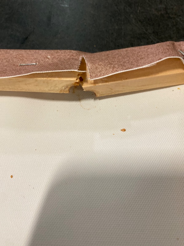 Photo 1 of LHIUEM Large Vintage Neutral Botanical Framed Wall Art Set,Brown and Black Flower Wall Decor,Nature Wildflower Artwork,Rustic Plant Floral Art Prints for Living Room,Bedroom,Farmhouse - 16"x24"x3