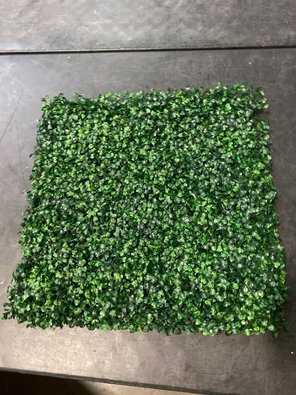 Photo 1 of AOKIE 20"X20" Artificial Grass Wall, 24Pcs Boxwood Hedge Wall Panels UV-Anti Grass Backdrop Wall Decor, Greenery Privacy Hedge Screen for Indoor Outdoor Patio Balcony, Party Garden Fence Decor