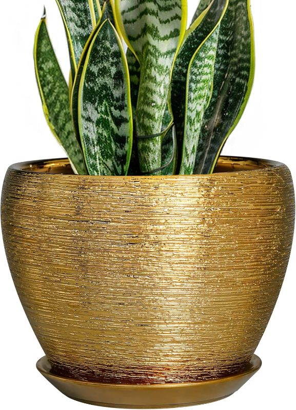 Photo 1 of Ceramic Plant Pot 8 Inch - Planter for Outdoor Plants Indoor Plant Pot with Drainage Hole and Saucer Decorative Round Planter Modern Flower Pot for House Decor Gold