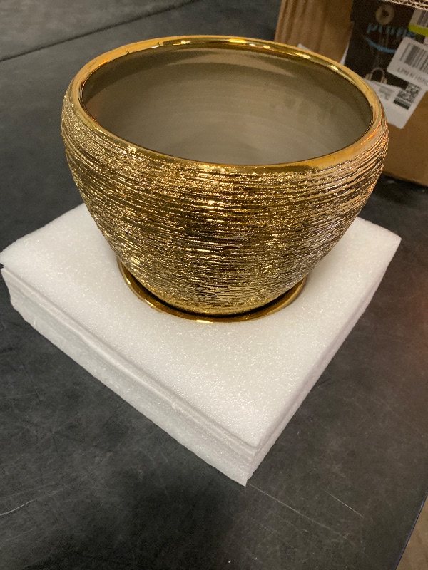Photo 1 of Ceramic Plant Pot 8 Inch - Planter for Outdoor Plants Indoor Plant Pot with Drainage Hole and Saucer Decorative Round Planter Modern Flower Pot for House Decor Gold