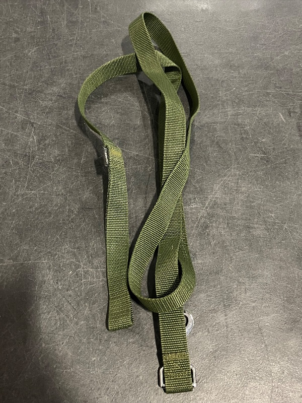 Photo 1 of TAIAN Adjustable Nylon Dog Leash, 6FT/10 FT Long Dog Leashes for Small Medium Large Dogs (1 in x 10 ft, Green)
