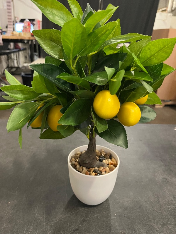 Photo 1 of Artificial Potted Plants 14 inches Fake Lemon Tree Artificial Lemons Citrus Tree with White Pot Faux Plants Indoor for Home,Office, Living Room Table, Desk