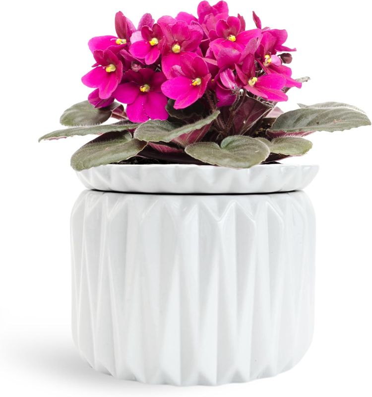 Photo 1 of 6 inch Self Watering Pot for Indoor Plants, African Violet Pot Ceramic, Flowers Planter (4 inch Opening), Holds 3 Weeks of Water (1 Pack)