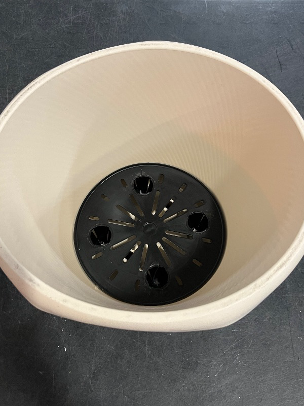 Photo 1 of 11 in. Eleanora Cream Plastic Self-Watering Planter (11 in. D X 7.9 in. H)