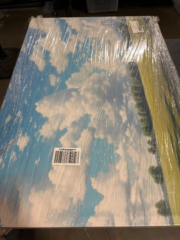 Photo 1 of Canvas Art Decor: Sprawling Green Field Under Vibrant Blue Sky, a Tranquil Nature Scene Art Decoration, Office Arts Design. Size: 91x61 cm (36x24 inch)
