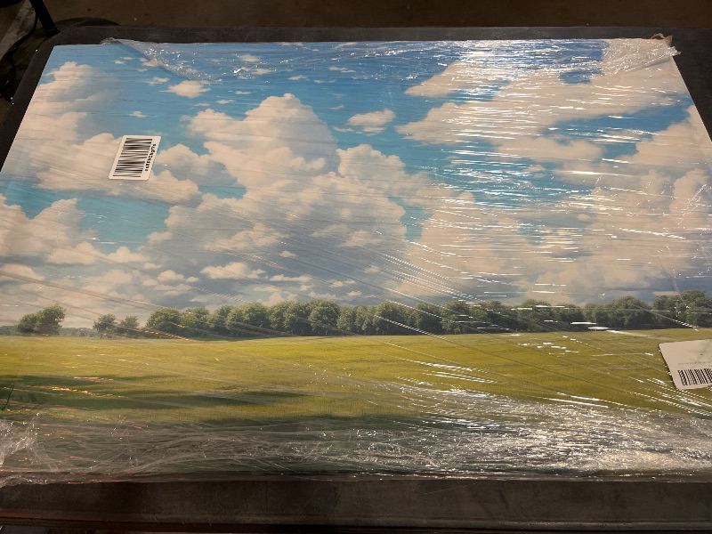 Photo 1 of Canvas Art Decor: Sprawling Green Field Under Vibrant Blue Sky, a Tranquil Nature Scene Art Decoration, Office Arts Design. Size: 91x61 cm (36x24 inch)
