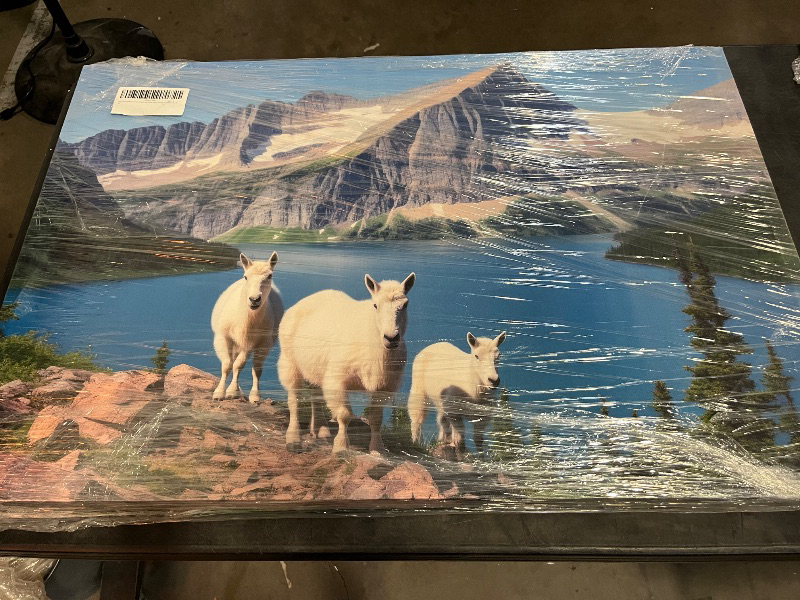 Photo 1 of Canvas Art Decor: Mountain Goats on Rugged Terrain Overlooking a Glacial Lake Art Decoration, Office Arts Design. Size:: 91x61 cm (36x24 inch)