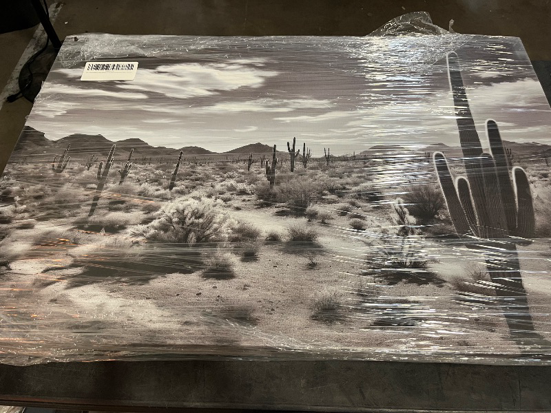 Photo 1 of Canvas Art Decor: Majestic Cacti and Stark Desert Sun in Monochromatic Splendor Art Decoration, Office Arts Design. Size:: 91x61 cm (36x24 inch)

