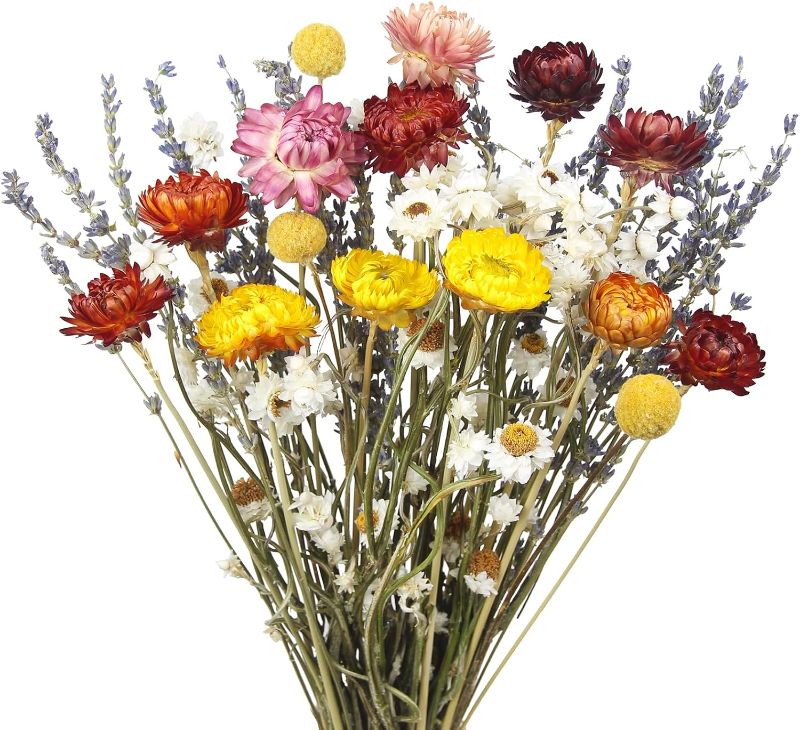 Photo 1 of Dried Daisy Flowers Bouquet Natural Lavender Bundles Dried Gerber Daisies Craspedia Flowers Dried Daisies Multicolor Floral Arrangements for Wedding Party Table Centerpiece Decor Farmhouse DIY
