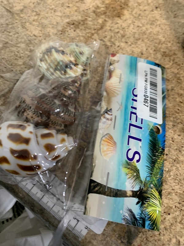 Photo 1 of 3 PCS Hermit Crab Shells 2~2.7Inch Natural Hermit Crab Shells Opening Size 1~1.3Inch Hermit Crab Supplies