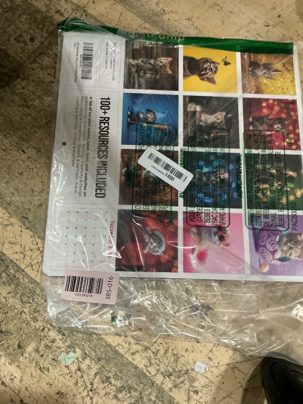 Photo 1 of 2026 Wall Calendar, Funny Cat Calendar 12 Month Planner - Big Large Wall Calendar for Office, Desk, Kids, Hanging Family Calendar, 11.75 x 11.75" (FESTIVE KITTENS)