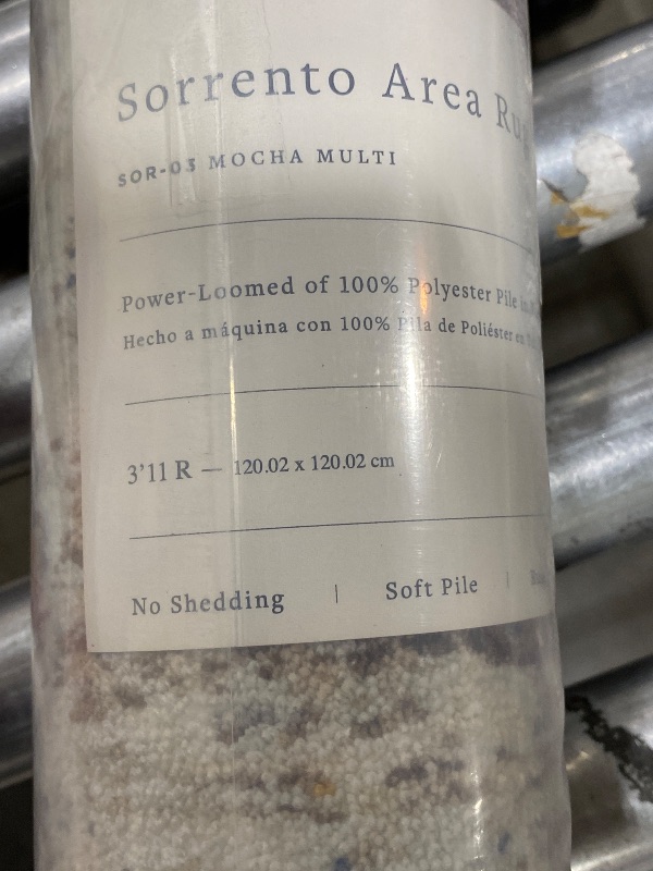 Photo 1 of Sorrento Area Rug