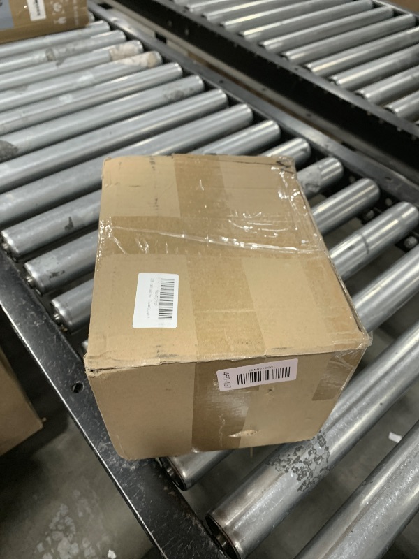 Photo 1 of *Missing plate* PAEOUT Resin Bear Statue for Home Decoration, Sitting Bear Sculpture Storage Tray for Accessory, Candy, Key for Living Room, Bedroom, Office and Entryway (4)