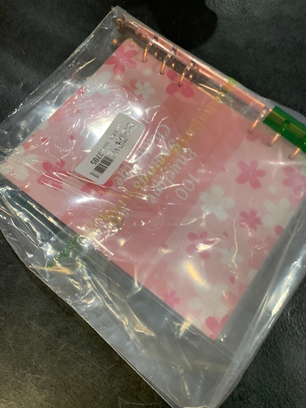 Photo 1 of 100 Days Money Saving Challenge Coin Envelope Budgetstorage Book, Money Saving Binder, Cash Envelopes for Budgeting, Budget Planner Binder to Save $5,050 and $500 and $10,000(Blue)