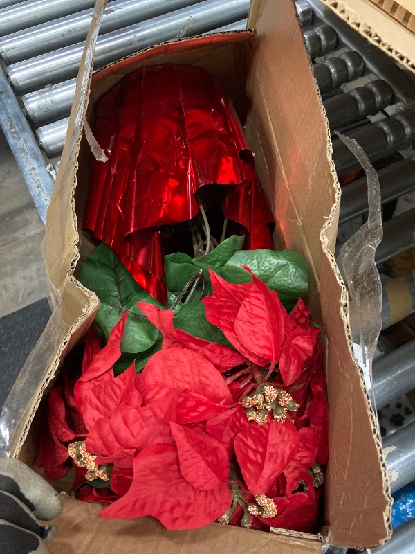 Photo 1 of 10” holiday poinsettias arrangement in red paper wrap