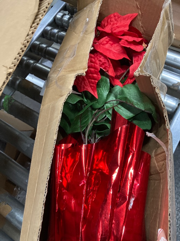 Photo 1 of 10” holiday poinsettias arrangement in red paper wrap