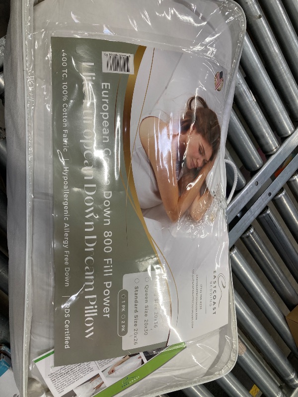 Photo 1 of East Coast Bedding Soft Down Pillow 800 Fill Power Standard Size Pack of 1 - White