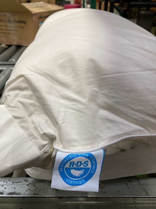 Photo 1 of East Coast Bedding Soft Down Pillow 800 Fill Power Standard Size Pack of 1 - White