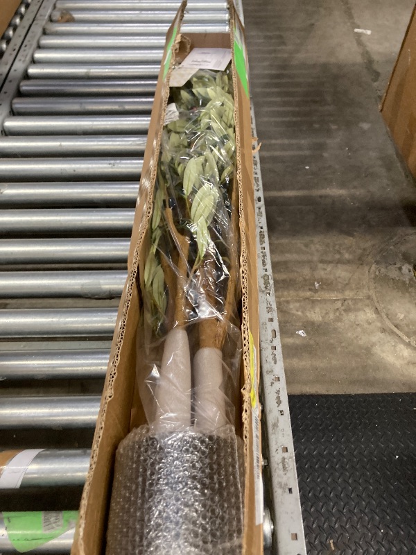 Photo 1 of 6 ft Artificial Olive Plants with Realistic Leaves and Natural Trunk, Silk Fake Olive Tree in Black Plastic Pot, Faux Olive Tree for Office Home
