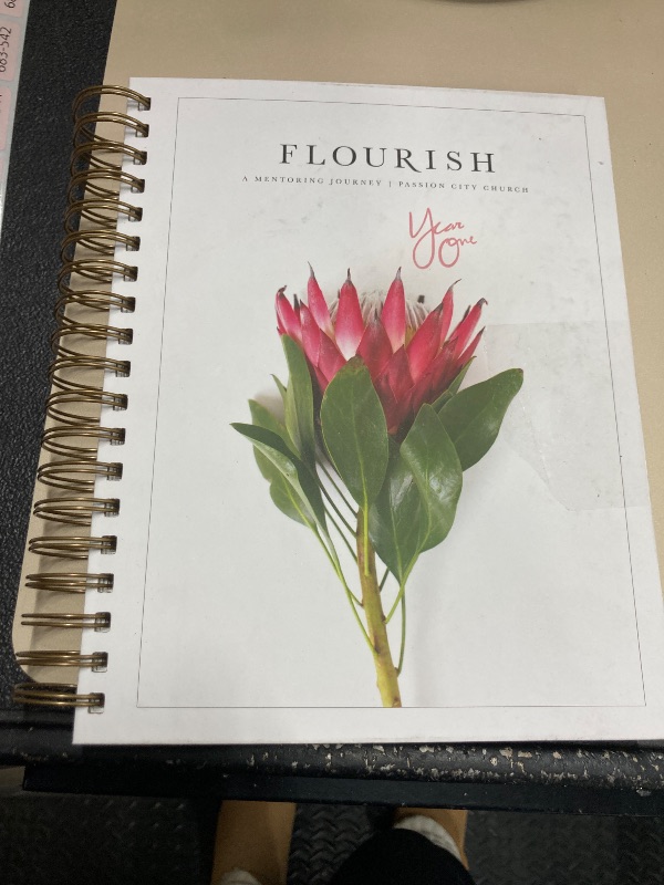 Photo 1 of **HAS TAPE RESIDUE**Flourish: A Mentoring Journey - Year One