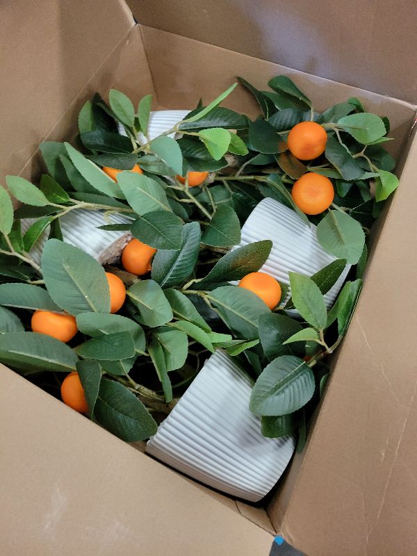 Photo 1 of Suncalla 4 Pack Artificial Orange Potted Plants 19.7 Inches Fake Orange Tree Simulation Realistic Fruit Plant with Pot Faux Tree Indoor Decoration for Home Office Living Room Table Desk