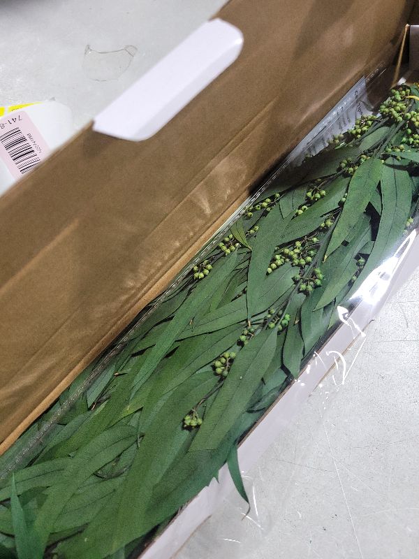Photo 1 of 17'' Real Dried Seeded Eucalyptus Stems for Shower, Preserved Natural Eucalyptus Leaves with Seeds, Preserved Greenery Branches for Arrangement, Wedding, Office, Farmhouse, Home Decor(5oz)