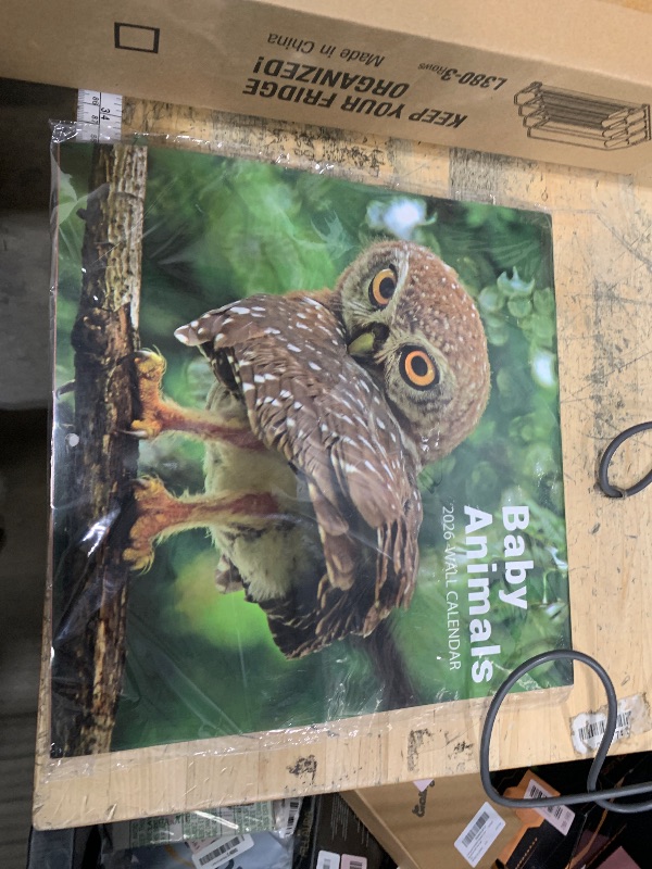 Photo 1 of 2026 Calendar - 2026 Wall Calendar, 12" x 24"(Open), 12 Month Baby Animal Calendar 2026, JAN - DEC 2026 Calendars with Thick Paper, Wall Calendar 2026 for Organizing & Planning, Animal Design