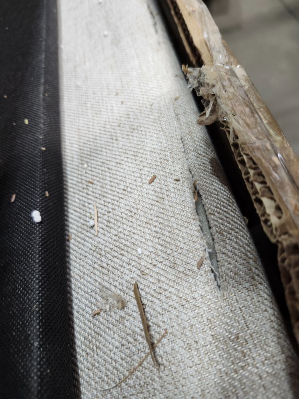 Photo 1 of *************INCOMPLETE ITEM, THIS IS ONLY BOX B AND DOES NOT INCLUDE BOX A****************
KEIKI Full Size Upholstery Daybed with Erectable Trundle and Vertical Stripes, Full to King Design Extendable Linen Sofa Bed, Easy Assembly, No Box Spring Required