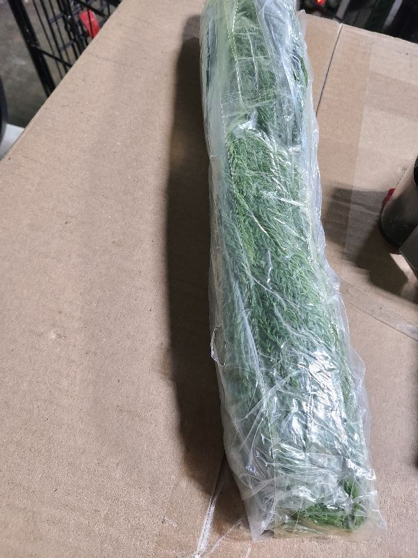 Photo 1 of 10Pcs Artificial Norfolk Pine Branches 17.7 Inches Fake Norfolk Pine Needles Sprigs Christmas Greenry Stems DIY Crafts Accessories for Garlands Vase Xmas Tree Filler Picks Home Decorations (10, Green)