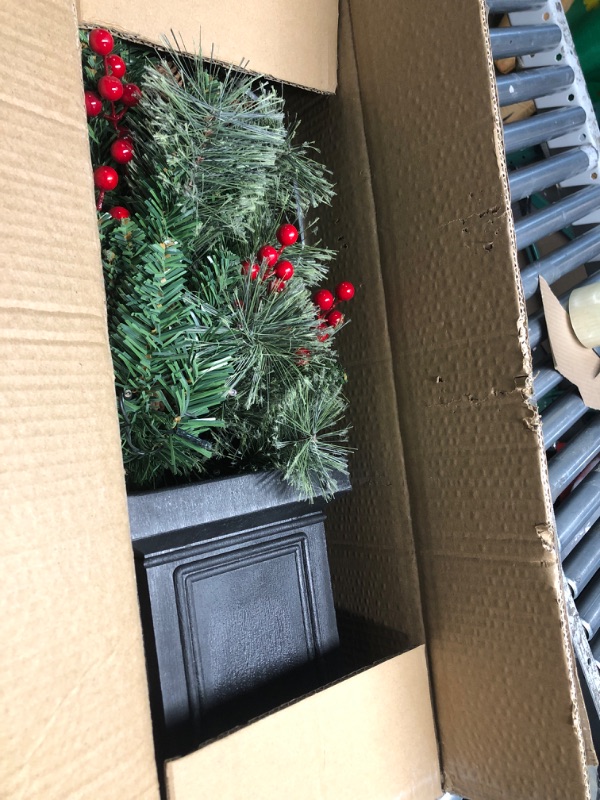 Photo 1 of ***STOCK PHOTO FOR REFERENCE ONLY***National Tree Company Leaves & Berries 35 Clear Lights 40in. Decorative Collection Magnolia Small Tree, 40 in, Green