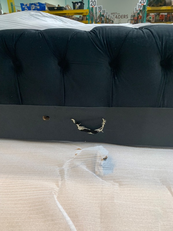 Photo 1 of **MINOR CUT & HOLES** Meridian Furniture RevelBlack-K Revel Collection Modern | Contemporary Black Velvet Upholstered Bed with Deep Button Tufting, 101" W x 98" D x 60" H, Black, King