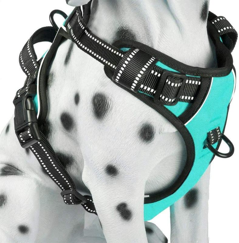 Photo 1 of PoyPet No Pull Dog Harness, Reflective Comfortable Vest Harness with Front & Back 2 Leash Attachments and Easy Control Handle Adjustable Soft Padded Pet Vest for Small Medium Large Dogs (Mint Blue,M)
