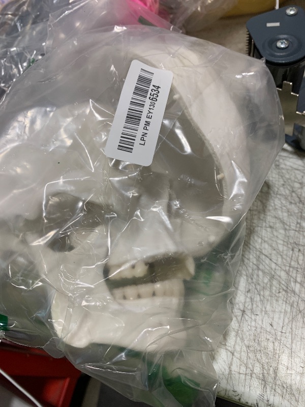 Photo 1 of Human Skull Model, Life Size 3-Part Anatomical Model with Removable Skull Cap and Articulated Mandible for Medical Student Human Anatomy Study Course