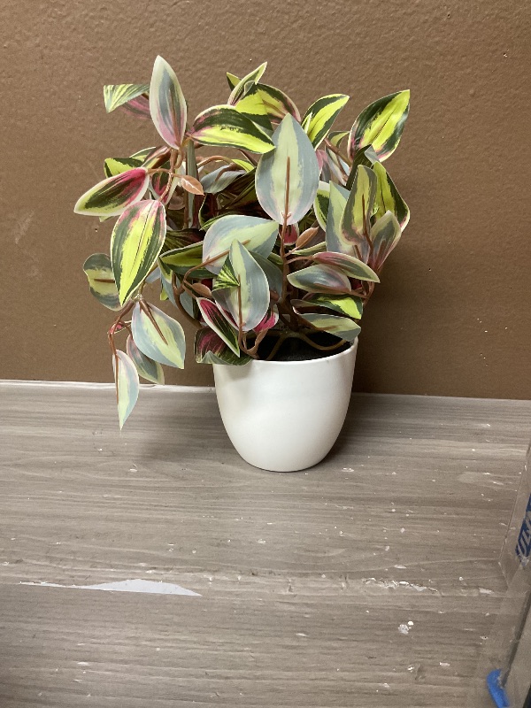 Photo 1 of Briful Small Faux Plants Indoor Artificial Potted Silk Plants Fake Watermelon Peperomia Trailing Vine Plant for Home Office Bathroom Table Shelf Mantle Modern Decoration(Red Green- 1 Pack)