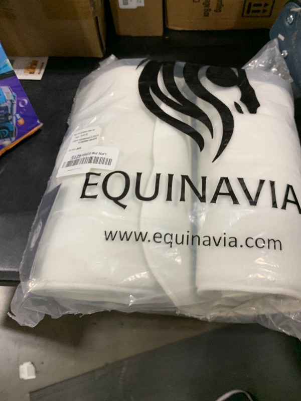 Photo 1 of Equinavia No Bow Leg Wraps - Pair - White - 10 in