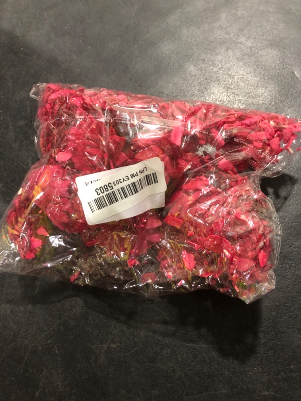Photo 1 of SPHINX Sola Zinnia/Daisy Flowers for Festive Decor, Christmas Decorations Pooja Decor Wedding Housewarming Table Decorations - ((Diameter Approx 6 cms) - 20 Pieces, Red)