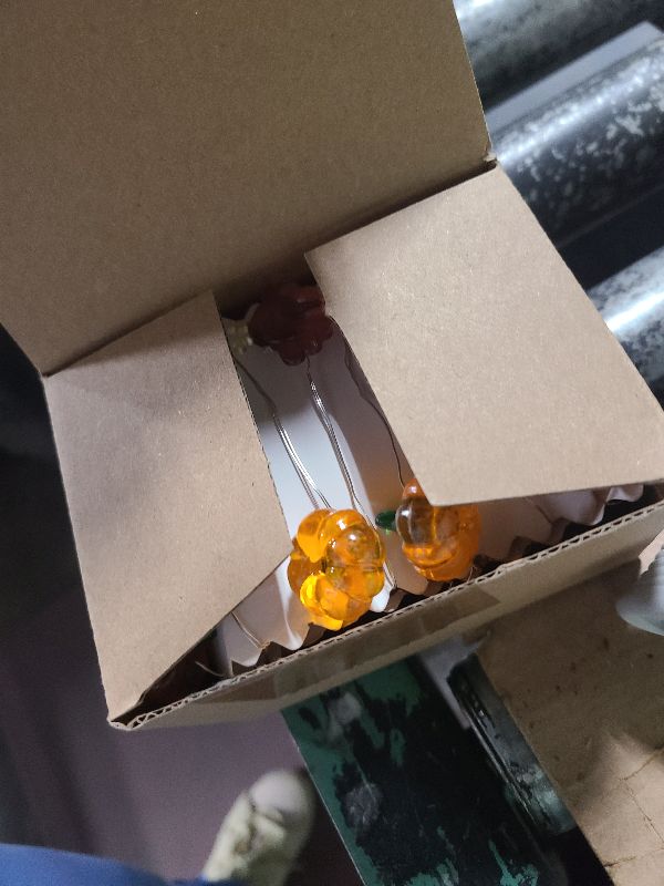 Photo 1 of [Timer, 8 Modes]10Ft 30LED Thanksgiving Lights Decoration, Battery Operated Copper Wire String Lights Thanksgiving Turkey Maple Pumpkin Lights Thanksgiving Lights Indoor Home Autumn Harvest Fall Decor