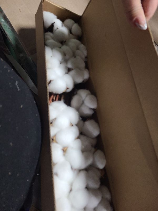 Photo 1 of 10 Packs Natural Dried Cotton Stems - 15 Inch Real Cotton Flowers with 20 Bolls, Rustic Farmhouse Cotton Decor Branches Bundle for DIY Vase Fillers and Wedding Centerpiece, Christmas, Halloween