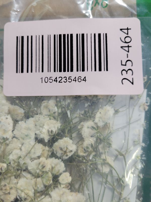 View 2 of 25 pcs Real Pressed Dried Flowers Mini White Gypsophila Baby's Breath for Wedding Invitation Resin DIY Art Floral Decors